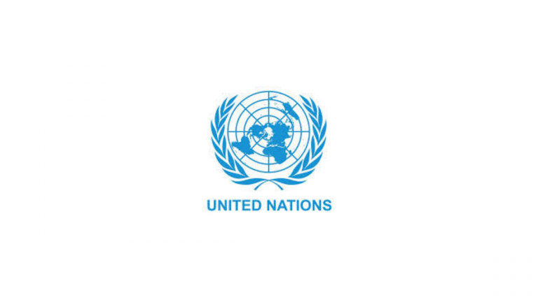 UNDP Internship