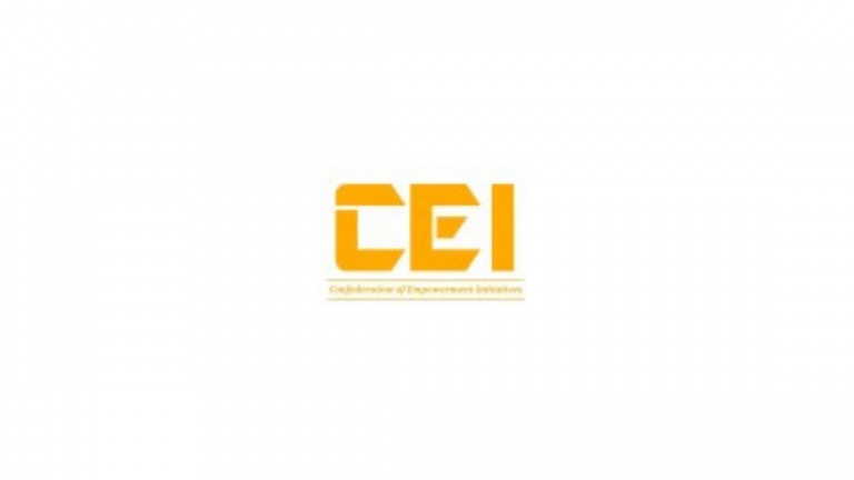 CEI Internship