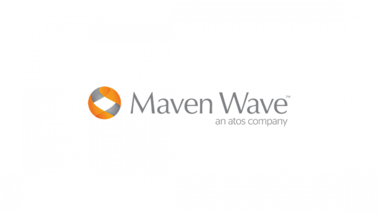 Maven Wave Internship