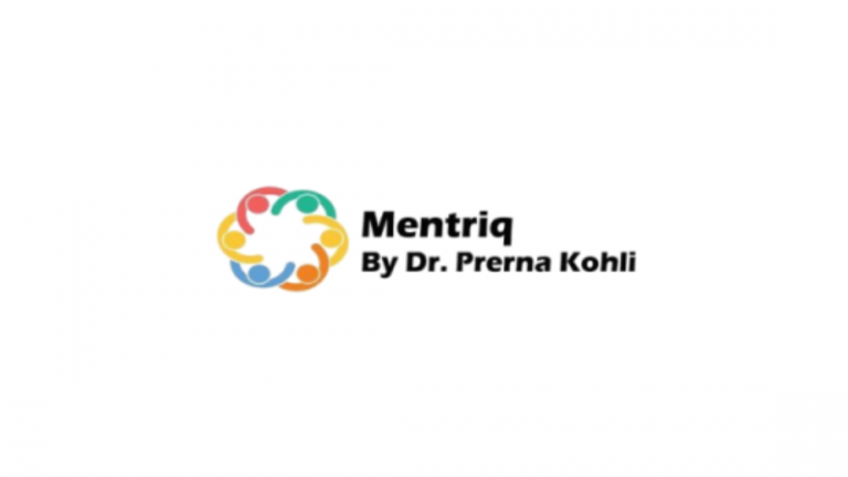 Mentriq Internship