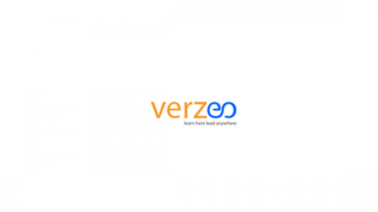 Verzeo Internship