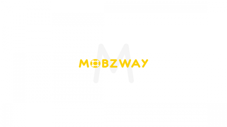 Mobzway Internship