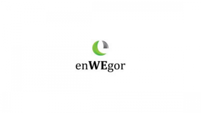 enWEgor Internship