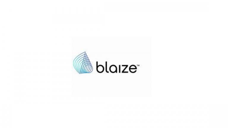 Blaize Internship